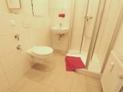 1 Raumwohnung neu saniert