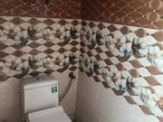 1 RK 300 Sq.Ft. Builder Floor in Rohini Sector 8 Delhi