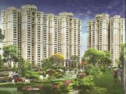 1 RK Apartment in Chi V Greater Noida for rent Greater...