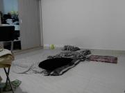 1 RK Apartment in Kaggadasapura for rent Bangalore. The...