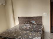 1 RK Apartment in Karolan Ka Barh for rent Jaipur. The...