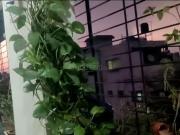 1 RK Apartment in Lohegaon for rent Pune. The reference...