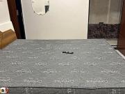 1 RK Apartment in Scheme No 113 for rent Indore. The...