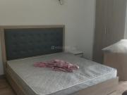 1 RK Apartment in Sector 168 for rent Noida. The...