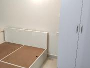 1 RK Apartment in Thirumalashettyhally for resale...