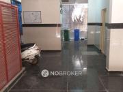 1 RK Flat for Rent In Marathahalli