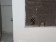 1 RK Flat In Apartment for Rent In Panchsheel Park