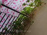 1 RK Flat In Standalone Building for Rent In Janakpuri