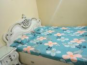 1 RK Independent Builder Floor in Pitampura for rent New...