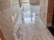 1 RK Independent Builder Floor in Sector 62A for rent...