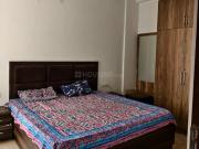 1 RK Independent House in Model Town for rent Jalandhar....