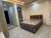 1 RK Independent House in Sector 56 for rent Gurgaon....