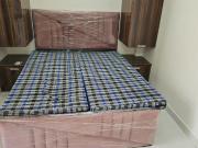 1 RK Studio in Sector 54 for rent Gurgaon. The reference...