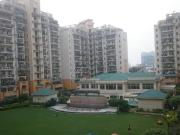 1 RK Studio in Sector 54 for rent Gurgaon. The reference...