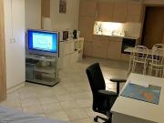 1 room apartment in Thörishaus BE, furnished