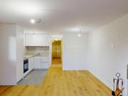 1 room apartment to let in 2P