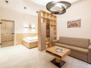 1 Schlafzimmer Vienna 1050 92159184