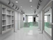 1 Vetrina in affitto a Lucca