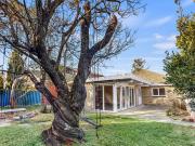 1 Wilma Street, Bentleigh VIC 3204 House For Rent | Domain