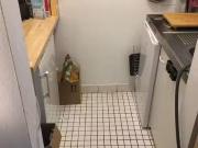 1 Zimmer 20 m² 300 € Kaltmiete Wohnungen in Gießen