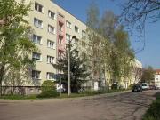 1 Zimmer 25 m² 196 € Kaltmiete Wohnungen in Bernburg Saa.