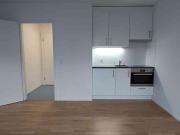 1 Zimmer, 28 m², EG