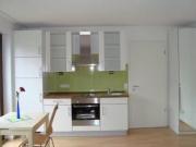 1 Zimmer 30 m² 400 € Kaltmiete Wohnungen in Mainz Altstadt