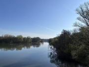 1 Zimmer 30 m² 650 € Kaltmiete Wohnungen in Nürnberg