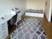 1 Zimmer 32 m² 495 € Kaltmiete Wohnungen in Wiesbaden 1 Zimmer 32 m² 495 € Kaltmiete Wohnungen in Wiesbaden