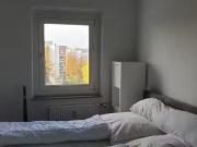 1 Zimmer 41 m² 520 € Kaltmiete Wohnungen in Rostock