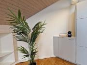 1 Zimmer, 57 m², 2. Stock