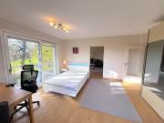 1 Zimmer 67 m² 790 € Kaltmiete Wohnungen in Bad Salzuflen