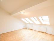 1 Zimmer Altbau mit Terrasse