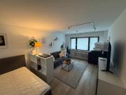 1 Zimmer Apartment ab sofort in Frankfurt Bockenheim