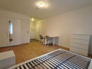 1 Zimmer Apartment in inkl. Küche & Möbel