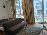 1 Zimmer Apartment zentral gelegen in Berlin Mitte,...