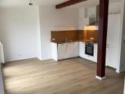1 Zimmer Appartment mit EBK