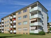 1 zimmer erdgeschosswohnung mit balkon zur miete in...