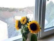 1 Zimmer Wohnung direkt an der TU Dortmund