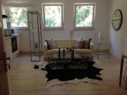 1 Zimmer Wohnung in Frankfurt zu vermieten