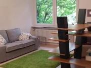 1 Zimmer Wohnung in Gebelsbergstraße, Süd