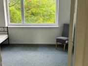 1 Zimmer Wohnung in Grevenweg, Borgfelde