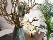 1 Zimmer Wohnung in Im Ostersiepen, Elberfeld