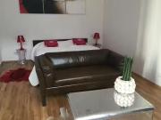 1 Zimmer Wohnung in Osthafenplatz, Ostend