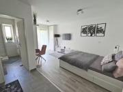 1 Zimmer Wohnung in Robert Koch Straße