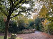 1 Zimmer Wohnung in Schwabing ab Januar 2026