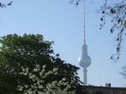 1 Zimmer Wohnung in Storkower Straße, Prenzlauer Berg