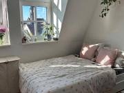 1 Zimmer Wohnung in Striesen 1 Zimmer Wohnung in Striesen