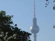 1 Zimmer Wohnung in Torstraße, Mitte