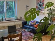 1½ Zimmer Wohnung in Zürich Kreis 11 Affoltern,...